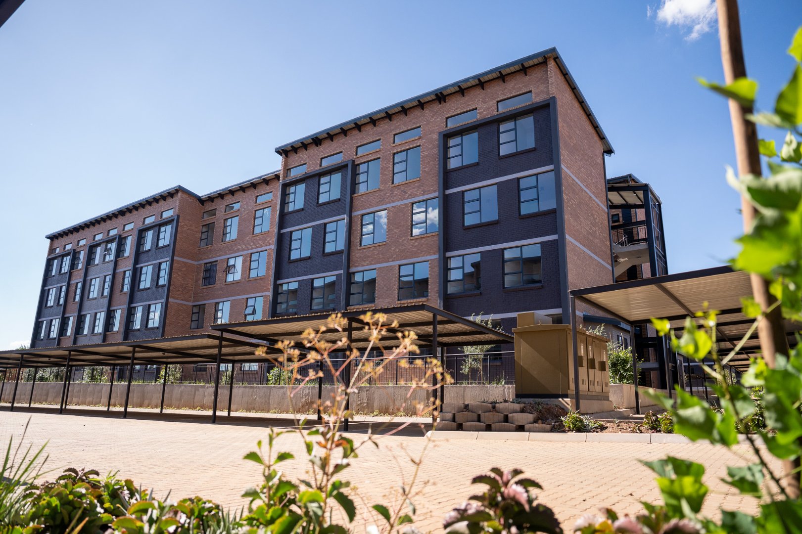 Bachelor Apartment – Lavelle Valencia, Celtisdal